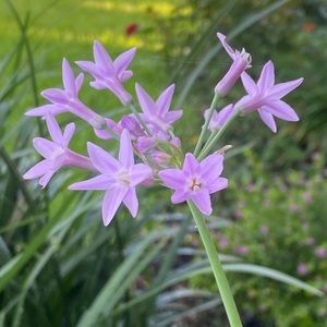 Meet your Posher, Kendall